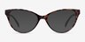 Lantana Tortoise PlasticEyeglass Frames from EyeBuyDirect, with Tinted Lenses