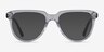 Hardin Clear Tortoise AcetateEyeglass Frames from EyeBuyDirect, with Tinted Lenses