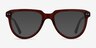 Hardin Clear Brown AcetateEyeglass Frames from EyeBuyDirect, with Tinted Lenses