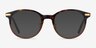 Dotti Tortoise Gold AcetateEyeglass Frames from EyeBuyDirect, with Tinted Lenses