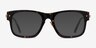 Carlyle Tortoise Gold AcetateEyeglass Frames from EyeBuyDirect, with Tinted Lenses
