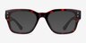 Hearth Tortoise PlasticEyeglass Frames from EyeBuyDirect, with Tinted Lenses