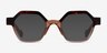 Hexed Tortoise Clear Brown AcetateEyeglass Frames from EyeBuyDirect, with Tinted Lenses