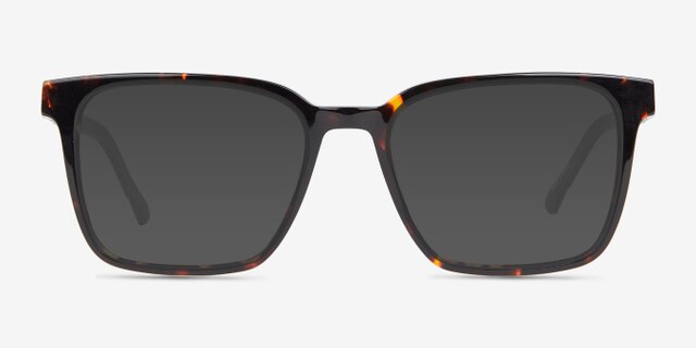 Mod Tortoise Gray AcetateEyeglass Frames from EyeBuyDirect, with Tinted Lenses