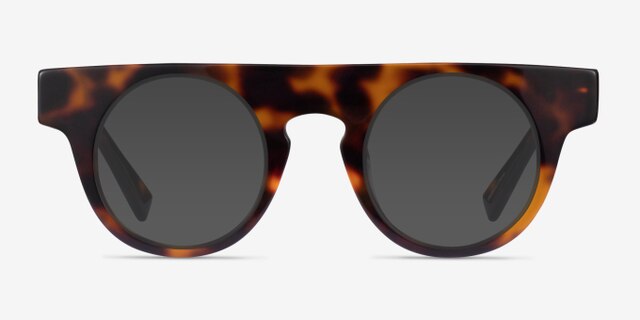 Proof Tortoise AcetateEyeglass Frames from EyeBuyDirect, with Tinted Lenses
