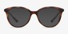 Neely Matte Tortoise PlasticEyeglass Frames from EyeBuyDirect, with Tinted Lenses