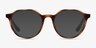 Prue Matte Tortoise PlasticEyeglass Frames from EyeBuyDirect, with Tinted Lenses