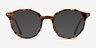 Trace Tortoise AcetateEyeglass Frames from EyeBuyDirect, with Tinted Lenses