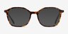 Harlowe Tortoise AcetateEyeglass Frames from EyeBuyDirect, with Tinted Lenses