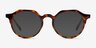 Monarda Tortoise AcetateEyeglass Frames from EyeBuyDirect, with Tinted Lenses