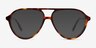 Verbena Tortoise AcetateEyeglass Frames from EyeBuyDirect, with Tinted Lenses