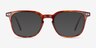 Wesley Tortoise AcetateEyeglass Frames from EyeBuyDirect, with Tinted Lenses