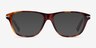 Harbor Tortoise AcetateEyeglass Frames from EyeBuyDirect, with Tinted Lenses