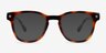 Mulligan Tortoise PlasticEyeglass Frames from EyeBuyDirect, with Tinted Lenses