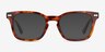 Thom Tortoise AcetateEyeglass Frames from EyeBuyDirect, with Tinted Lenses