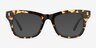 Apres Spotty Tortoise AcetateEyeglass Frames from EyeBuyDirect, with Tinted Lenses
