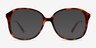 Edith Tortoise AcetateEyeglass Frames from EyeBuyDirect, with Tinted Lenses