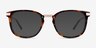 Silas Écailles AcétateMontures de lunettes de vue d'EyeBuyDirect, Avec des Verres Teintés