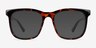 Rowen Shiny Tortoise Eco-friendlyEyeglass Frames from EyeBuyDirect, with Tinted Lenses