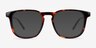 Banyan Shiny Tortoise Eco-friendlyEyeglass Frames from EyeBuyDirect, with Tinted Lenses
