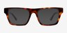 Veritas Tortoise AcetateEyeglass Frames from EyeBuyDirect, with Tinted Lenses