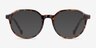Frolic Tortoise PlasticEyeglass Frames from EyeBuyDirect, with Tinted Lenses