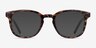 Hullabaloo Tortoise PlasticEyeglass Frames from EyeBuyDirect, with Tinted Lenses