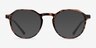 Chichi Tortoise PlasticEyeglass Frames from EyeBuyDirect, with Tinted Lenses