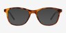 Upward Matte Tortoise PlasticEyeglass Frames from EyeBuyDirect, with Tinted Lenses