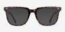 Kerr Tortoise Clear AcetateEyeglass Frames from EyeBuyDirect, with Tinted Lenses
