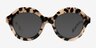 Magritte Ivory Tortoise AcetateEyeglass Frames from EyeBuyDirect, with Tinted Lenses