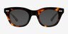 Ernst Shiny Tortoise AcetateEyeglass Frames from EyeBuyDirect, with Tinted Lenses