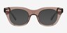Ernst Clear Brown AcetateEyeglass Frames from EyeBuyDirect, with Tinted Lenses