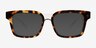 Mayhem Clear Tortoise AcetateEyeglass Frames from EyeBuyDirect, with Tinted Lenses
