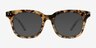 Romy Écaille ivoire AcétateMontures de lunettes de vue d'EyeBuyDirect, Avec des Verres Teintés