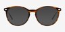 Lit Tortoise AcetateEyeglass Frames from EyeBuyDirect, with Tinted Lenses
