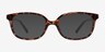 Ferb Tortoise PlasticEyeglass Frames from EyeBuyDirect, with Tinted Lenses