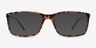 Sterling Tortoise PlasticEyeglass Frames from EyeBuyDirect, with Tinted Lenses