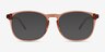 Larkin Clear Brown PlasticEyeglass Frames from EyeBuyDirect, with Tinted Lenses