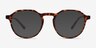 Monti Matte Tortoise PlasticEyeglass Frames from EyeBuyDirect, with Tinted Lenses