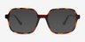 Lior Tortoise PlasticEyeglass Frames from EyeBuyDirect, with Tinted Lenses