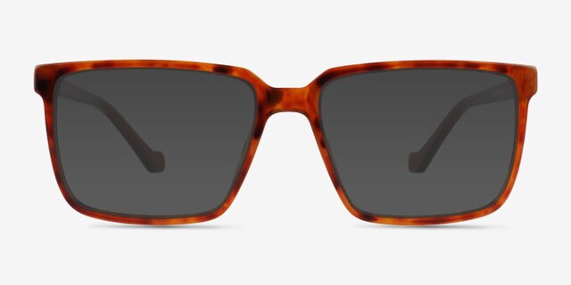 Seraph Tortoise PlasticEyeglass Frames from EyeBuyDirect, with Tinted Lenses
