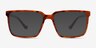 Seraph Tortoise PlasticEyeglass Frames from EyeBuyDirect, with Tinted Lenses