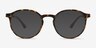 Xp Tortoise PlasticEyeglass Frames from EyeBuyDirect, with Tinted Lenses