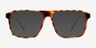 Whitecap Tortoise PlasticEyeglass Frames from EyeBuyDirect, with Tinted Lenses