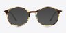 Doc Tortoise PlasticEyeglass Frames from EyeBuyDirect, with Tinted Lenses