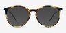 Naomi Écailles Plastic-metalMontures de lunettes de vue d'EyeBuyDirect, Avec des Verres Teintés