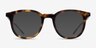Vendome Tortoise AcetateEyeglass Frames from EyeBuyDirect, with Tinted Lenses