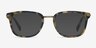 Audacity Tortoise AcetateEyeglass Frames from EyeBuyDirect, with Tinted Lenses