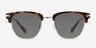 Identity Tortoise Acetate-metalEyeglass Frames from EyeBuyDirect, with Tinted Lenses